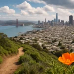Bright orange flower in foreground with Golden Gate Bridge and San Francisco skyline.