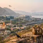 Две обезьяны сидят на каменной стене с видом на город и горы.