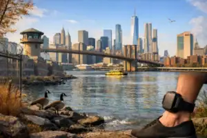 Urban waterfront view with geese and an ankle monitor in focus.